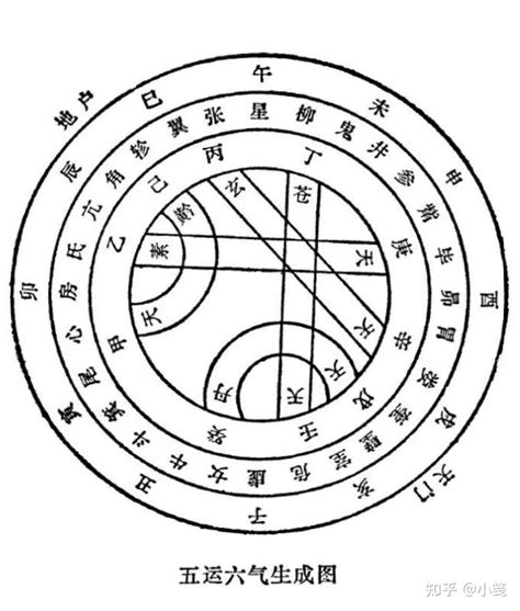 甲木 壬水|甲木喜欢壬水还是癸水——天玄网